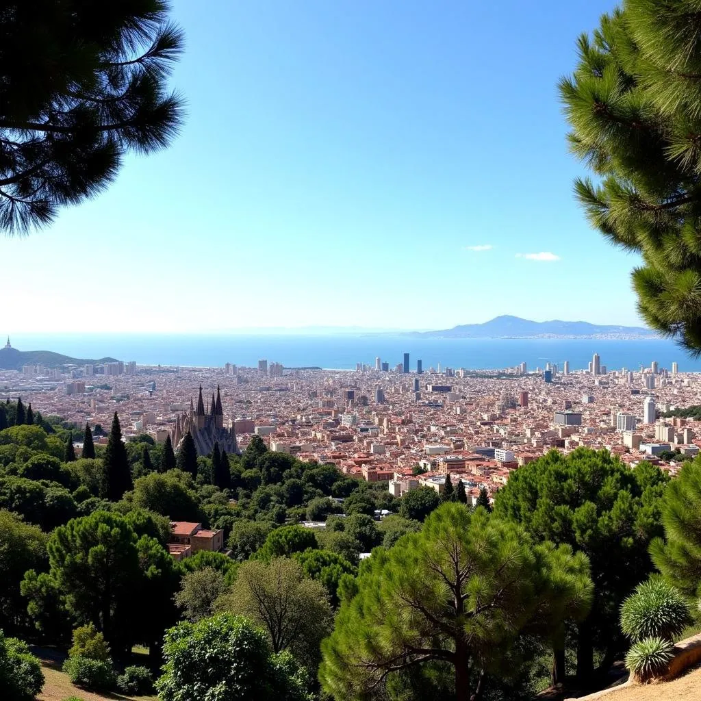 Toàn Cảnh Barcelona Từ Công Viên Güell