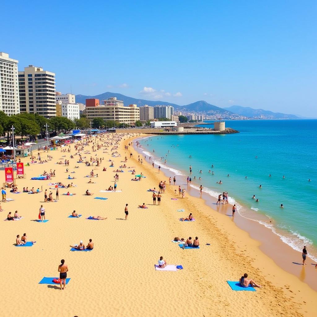 Barcelona Beach Activities