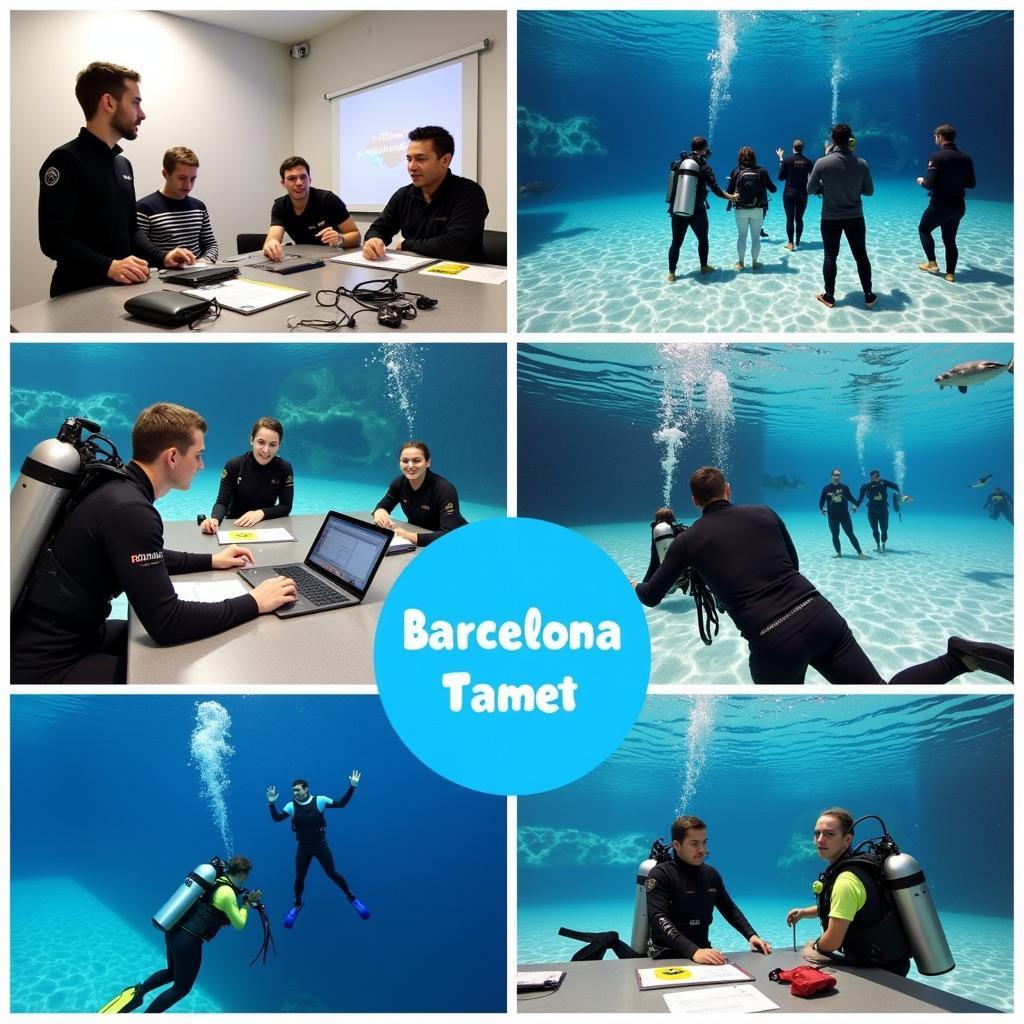 Các khóa học lặn biển tại Barcelona