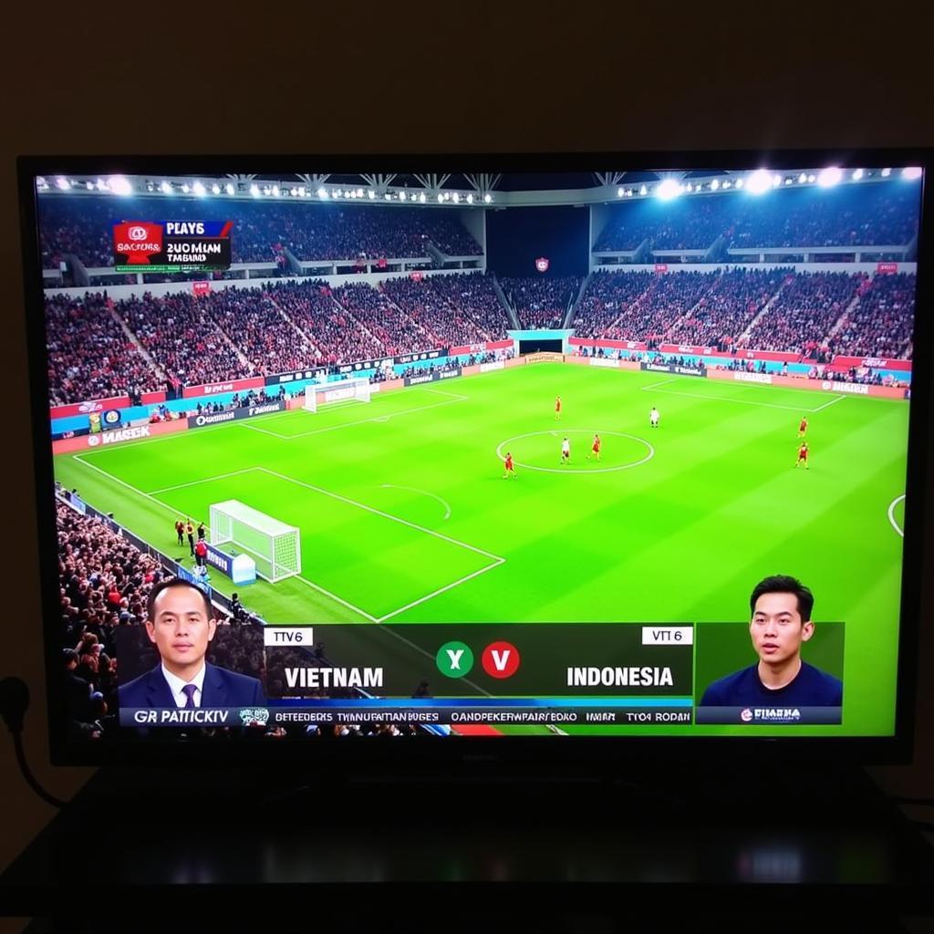 Trực tiếp bóng đá Việt Nam Indonesia trên VTV6