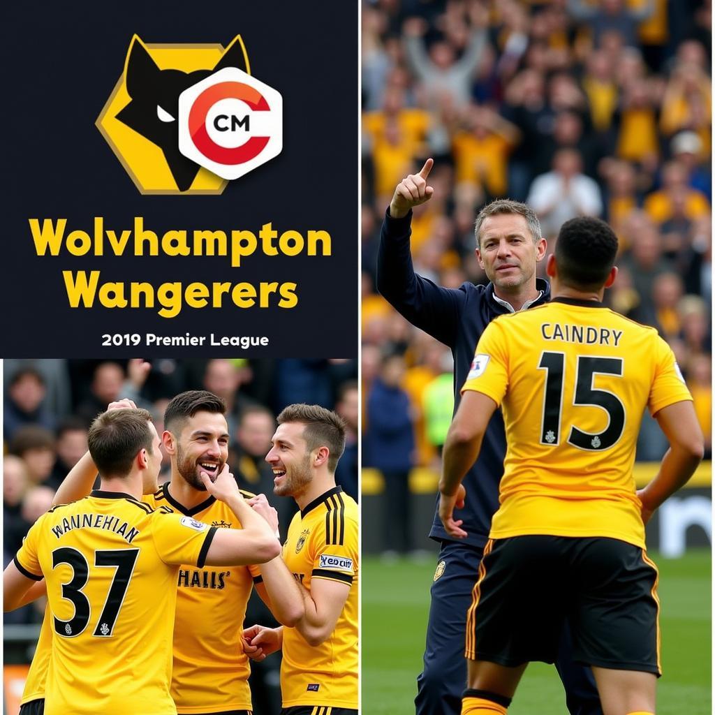 Wolves: Hiện tượng của mùa giải