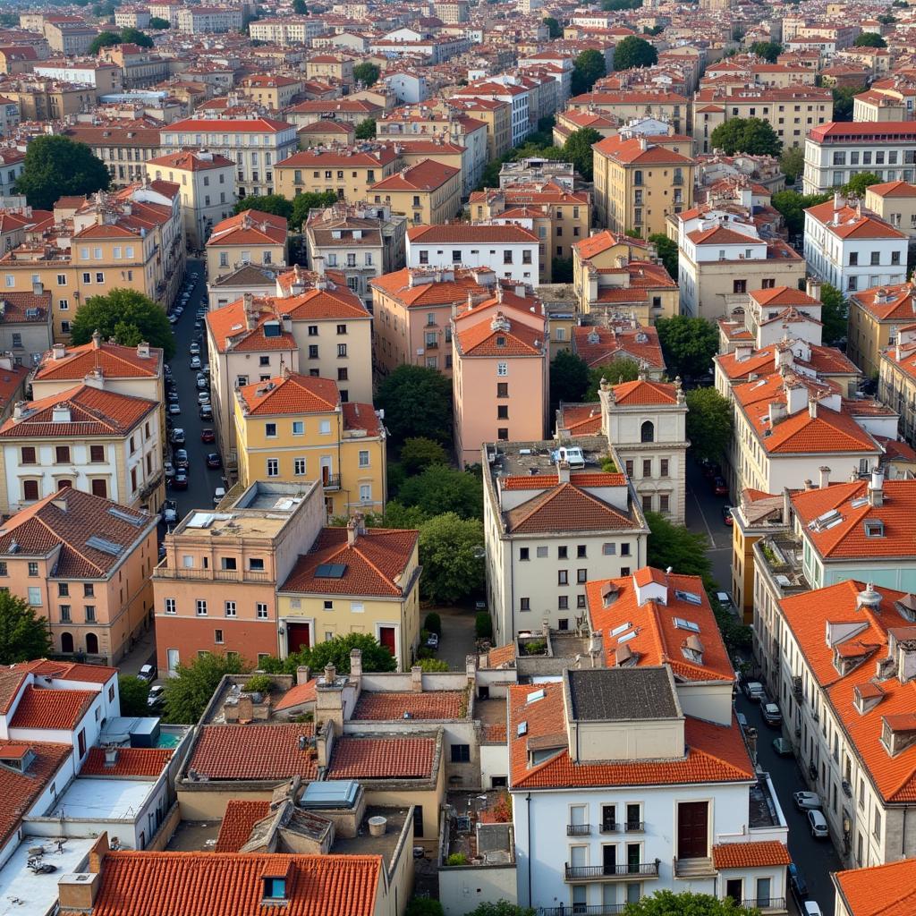 Barcelona Neighborhoods from an Aerial Perspective